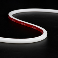 Éclairage LED néon intelligent RGB 24V étanche IP67, LED SMD, IRC 90, garantie 3 ans - Lumière flexible pour plafond en extérieur