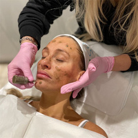 Kit de Récupération Cutanée ZS Spicules de Spongille Bio Microneedling Thérapeutique, Peeling aux Algues pour le Resurfaçage et l'Élimination des Taches, pour l'Hyperpigmentation