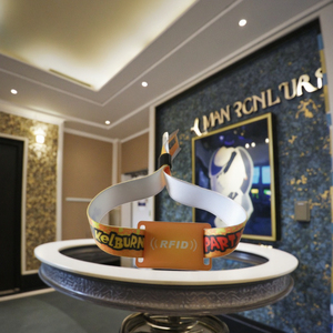 Tùy Chỉnh Dùng Một Lần Polyester Dây Đeo Cổ Tay Thăng Hoa Dệt Vải Vòng Đeo Tay Cho Lễ Hội Các Sự Kiện Một Thời Gian Thành Viên Thẻ - Product Image 4