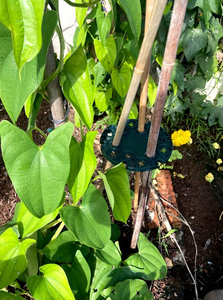 <span class=keywords><strong>Support</strong></span> <span class=keywords><strong>mural</strong></span> en plastique <span class=keywords><strong>pour</strong></span> jardin potager intérieur/<span class=keywords><strong>extérieur</strong></span>, avec plateau de fixation <span class=keywords><strong>pour</strong></span> <span class=keywords><strong>plantes</strong></span> - Product Image 5