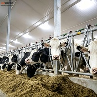 Jauges de bétail à verrouillage automatique pour le traitement alimentaire et les contrôles de bétail