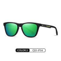 Lunettes de soleil œil-de-chat BM9108 de haute qualité avec verres polarisés, branches en acétate et monture TR, avec logo 2026