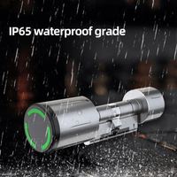 Serrure de cylindre intelligente sans clé Euro Profile IP65 TTlock Tuya Standard, serrure de porte électronique
