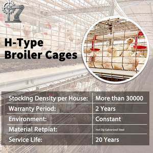 Nouvelle cage à poulets à 4 étages en acier galvanisé avec une longue durée de vie pour les fermes avicoles - Product Image 5