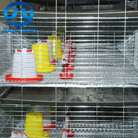 Cage à poulets galvanisée à chaud à 4 niveaux pour 1000 à 5000 oiseaux, équipement d'élevage avicole, poulailler, cage à poulets de chair