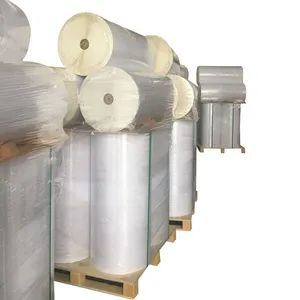 Materiale per etichette termiche dirette autoadesive con rivestimento superiore di alta qualità 80gsm in etichetta adesiva Jumbo Roll