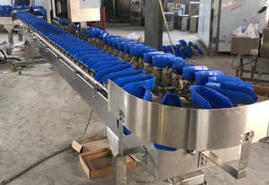 Máquina Clasificadora de Frutas y Verduras Automática Profesional, Clasificadora de Mango y Albaricoque, con Acero Inoxidable 304 - Product Image 6