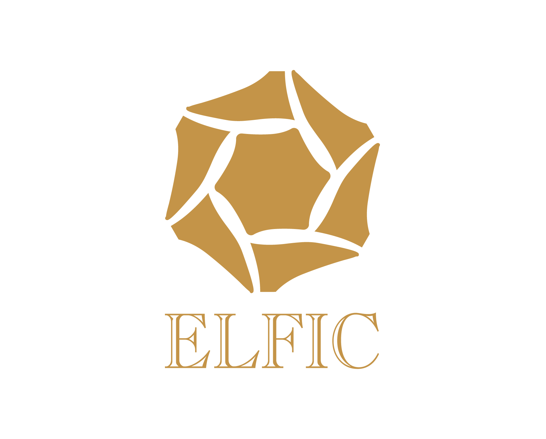 Guangzhou Elfic Trading Co., Ltd. logo