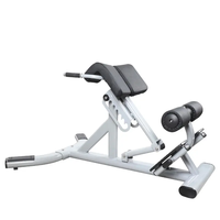 Banc d'hyperextension pour équipement de fitness de chaise romaine d'extension de dos de tube ovale de centre de gymnastique commerciale