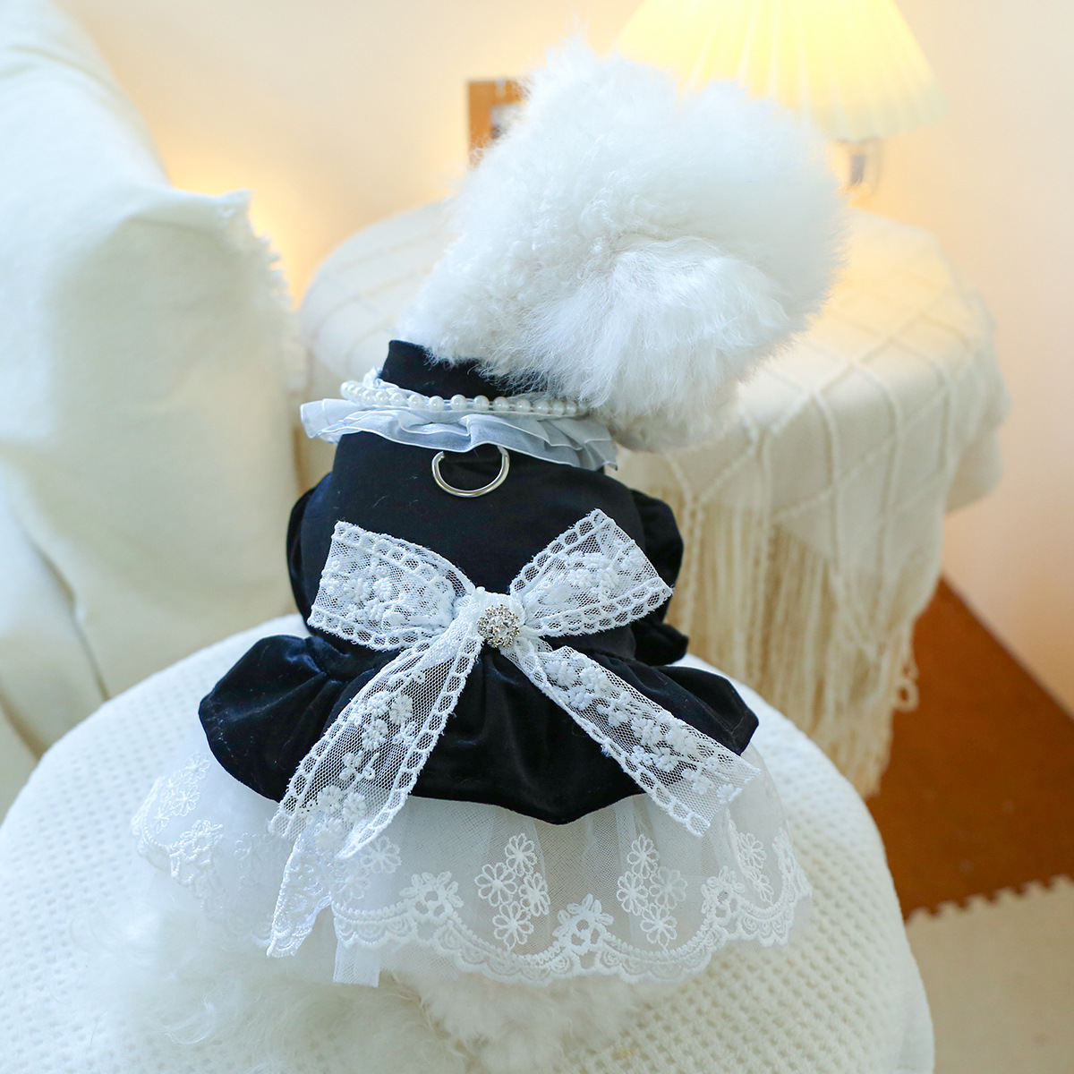 Stylish formal cat dress for Pets: Quality, Comfort, and Durability