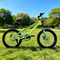 Vélo pour enfants de 20 pouces avec panier et roues d'apprentissage pour les enfants de 6 ans, cycles de haute qualité