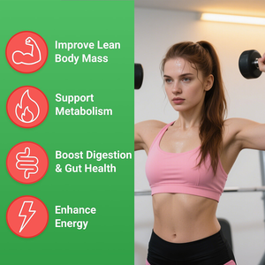 Gomitas Keto ACV Naturales Personalizables OEM/ODM para Adultos, Mejoran <span class=keywords><strong>la</strong></span> <span class=keywords><strong>Masa</strong></span> <span class=keywords><strong>Corporal</strong></span> Magra y Aumentan <span class=keywords><strong>la</strong></span> Energía - Gomitas <span class=keywords><strong>de</strong></span> Vinagre <span class=keywords><strong>de</strong></span> Sidra <span class=keywords><strong>de</strong></span> Manzana - Product Image 2