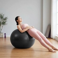 Ballon d'exercice gonflable anti-éclatement pour soulager les douleurs dorsales, ballon en PVC antidérapant pour la physiothérapie, entraînement à domicile, vente en gros