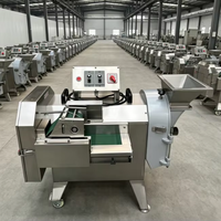 Groentensnijmachine Verwerkingsmachine Roestvrij staal Verstelbare snijgrootte Hoge capaciteit 850 kg/u 220V Groenteverwerkingsinstallatie