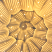 Lampe de table artisanale en céramique, design moderne, base E26, coquille d'escargot 3D ajourée
