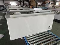 Congélateur vertical électrique 500L à portes pliantes pour usage commercial et domestique