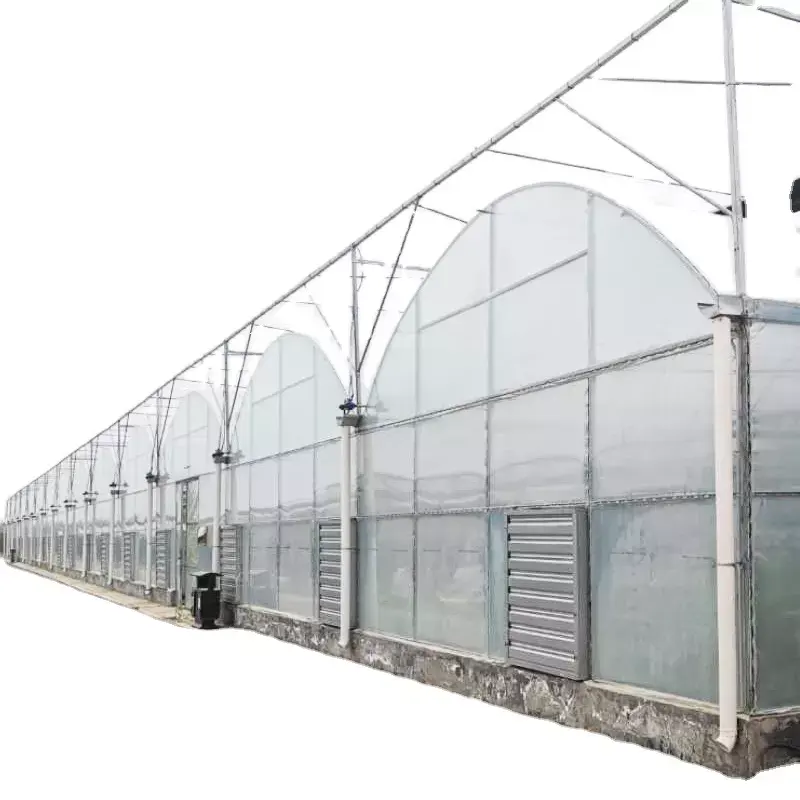 Customized Multi-Span Arch Type PE/Po Plastic Film Agricultural Green House with Hydroponics System for Tomato/Cucumber/Lettuce