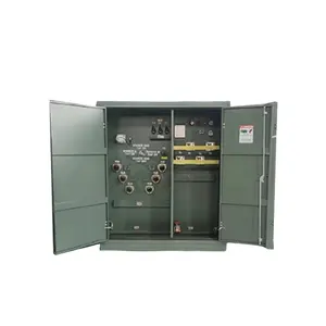 IEEE standart 2000kva 1600kva 600kva 500kva 330kva 160kva 11kv 13.2kv 13.8kv döngü besleme pedi monte edilmiş transformatörler