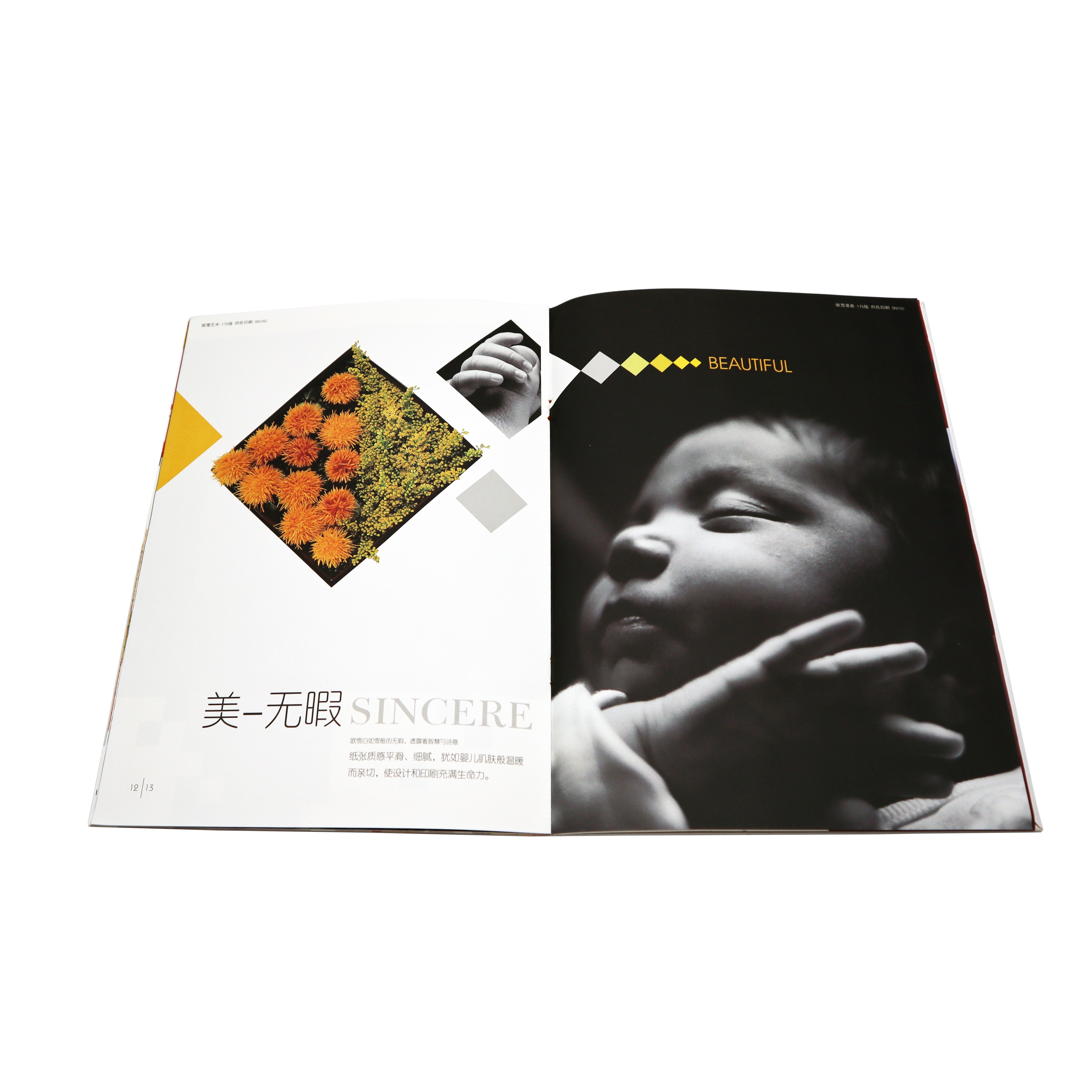 Книга, флаер, листовка, каталог, брошюра, печать журналов