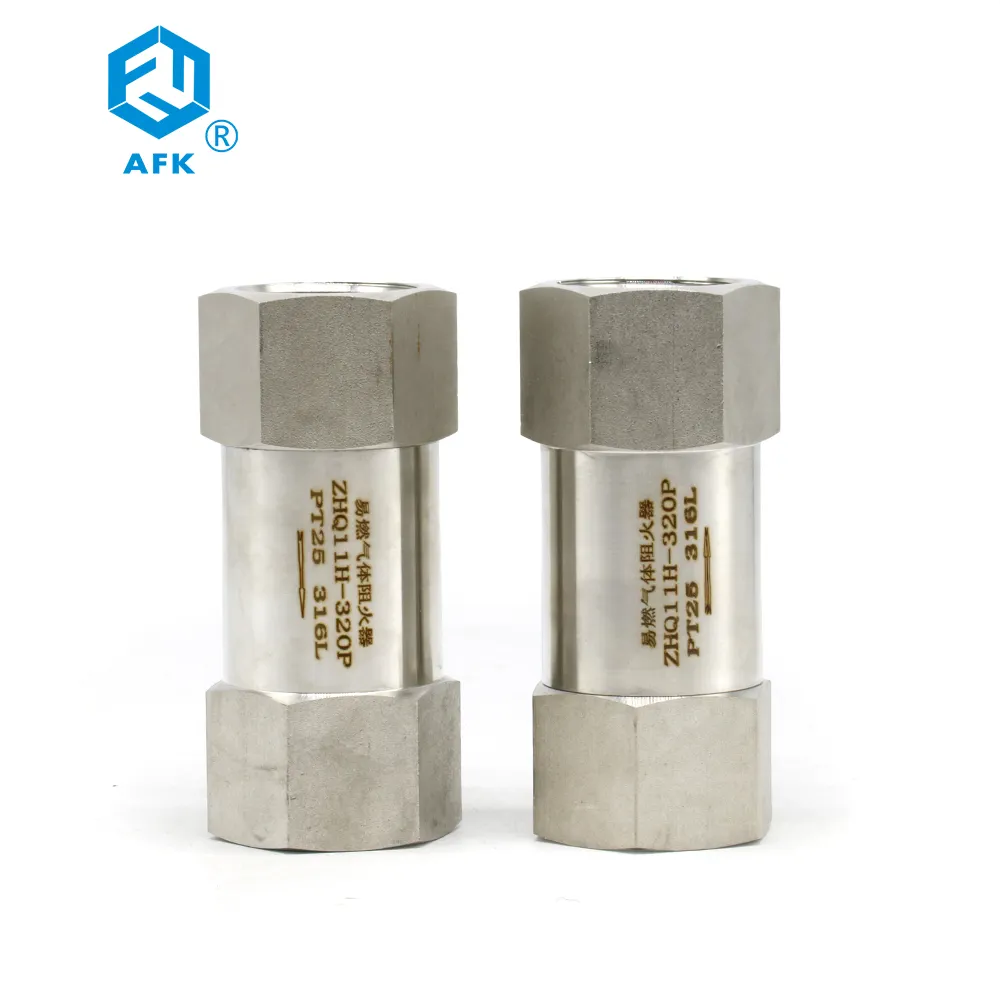 Khí dễ cháy fflame arrestor SS316 nữ 1 "bspt Áp suất làm việc 10 bar