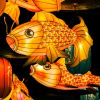 Lanterne Animale Poisson Dragon du Nouvel An Chinois, Faite à la Main, Étanche, Décoration Murale Extérieure, Décorations de Fête