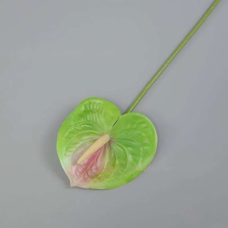 07 สีเขียว