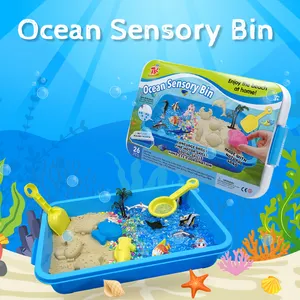 New Design Creative Educational Toys Sensory Play Gift Dynamic Sand Ocean Sensory Bin For Kids