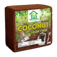 Vente en gros en vrac USA 200 pièces Blocs de coco, fibres de coco, tourbe de coco, palettes