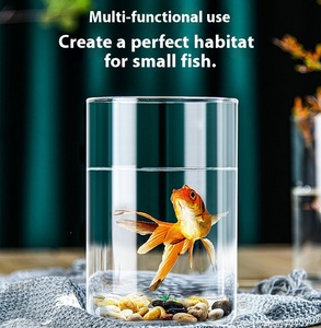 Vase à fleurs de table en verre soufflé à <span class=keywords><strong>la</strong></span> main, en borosilicate transparent, écologique, moderne, 10 cm/15 cm/20 cm de haut, décoration d'intérieur, grand - Product Image 5