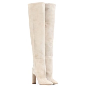 Bottes hautes en <span class=keywords><strong>daim</strong></span> <span class=keywords><strong>beige</strong></span> pour femme, à bout pointu, talon bloc épais, à enfiler, pour l'hiver, mode féminine, bottes de soirée élégantes - Product Image 1