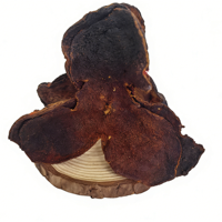Peau de mandarine séchée au soleil naturelle de qualité supérieure, peau de mandarine séchée de Xinhui, thé aux herbes, 50g, Anhui Fuli Hall