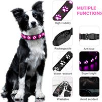 Collier lumineux pour chien Nibao, collier LED pour chien, rechargeable par USB, réglable, collier lumineux super brillant pour la nuit