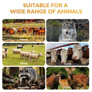 Cercas Electrónicas para Granjas, Alambre para Cercas <span class=keywords><strong>de</strong></span> Ganado, Cercas <span class=keywords><strong>de</strong></span> Polialambre para Ovejas, Vacas, Granjas o Terrenos <span class=keywords><strong>de</strong></span> Pastoreo - Product Image 6