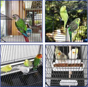 53-inch kandang burung dengan Rolling berdiri & rak penyimpanan, besar besi tempa burung beo kandang untuk Cockatiel, Conure, Lovebird, Parkit - Product Image 4