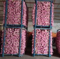 Fournisseur d'ail frais de Chine, ail blanc de qualité supérieure, ail en gros pour l'exportation