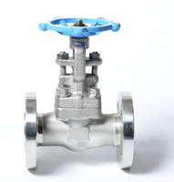 Vanne à opercule manuelle forgée en acier au carbone ANSI A105/304/316/CF8 CL150/300/600/900/1500 LB API6D à brides pour eau, gaz et huile