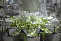 Machine d'emballage automatique multi-têtes pour les bleuets, pesage des chips de pommes de terre surgelées, emballage en sac plastique pour les légumes