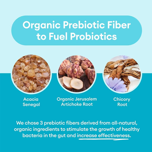 Usine Vente Chaude Toutes Les Prébiotiques Naturels Souches De Soutien 600 Milliards Colonie Complément Alimentaire CFU Probiotique Capsule - Product Image 6