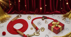 Juego de Correa y collar de perro táctico personalizable al por mayor PUPE, collar de perro de cuero ajustable con hebilla de metal, pedidos al por mayor - Product Image 5