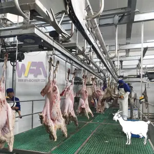 Qingdao WFA fabrika keçi kesim hattı ekipmanları koyun kuzu Abattoir
