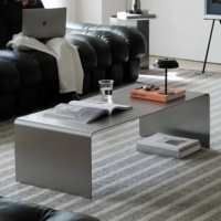 Table basse minimaliste italienne de style Bauhaus en acier inoxydable pour petit salon, table d'appoint mobile, coins arrondis, sans assemblage