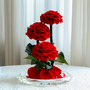 Cúpula de Cristal con 3 Rosas Preservadas Serie Grand Prince, Decoración de Boda de Lujo, Regalo de San Valentín, Personalizable al por Mayor - Product Image 1