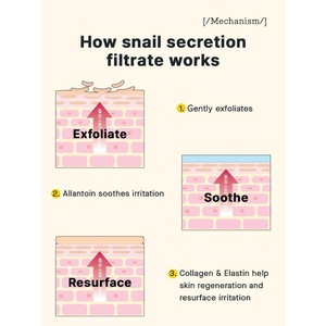 [For Nigeria Only] [<b>COSRX</b>] <b>Advanced</b> <b>Snail</b> <b>96</b> <b>Mucin</b> <b>Power</b> <b>Essence</b> 100ml High <b>Snail</b> <b>Mucin</b> Intense Hydration <b>Essence</b> To Repair Skin - Product Image 3