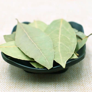 Hojas de Laurel naturales <span class=keywords><strong>secas</strong></span> de hierbas al por mayor - Product Image 2