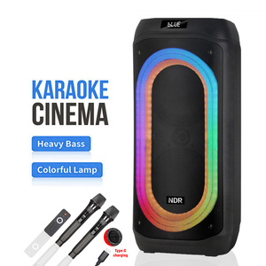Enceinte de sol Bluetooth double 8 pouces haute puissance NDR-818 pour home cinéma, salon, TV, karaoké et soirées - Product Image 1