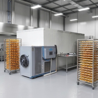300 kg capaciteit oranje dehydrator, machine voor het drogen van gesneden tomaten en fruit, te koop