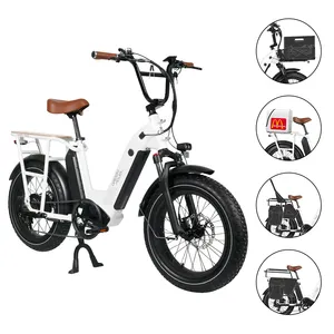 持続可能な都市輸送のための多用途の貨物Eバイク環境に優しいファットタイヤ電動自転車