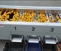 Mini Elektronische Fruit Mandarijn Oranje Apple Size Sorteren Grading Machines In India
