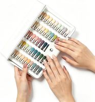Album professionnel portable en plastique transparent anti-poussière pour présentation d'ongles, avec cartes de couleurs et capsules d'ongles en gel press-on