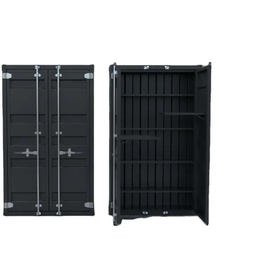 2 door container, cheap luxury fashionable container, wine cabinet, locker